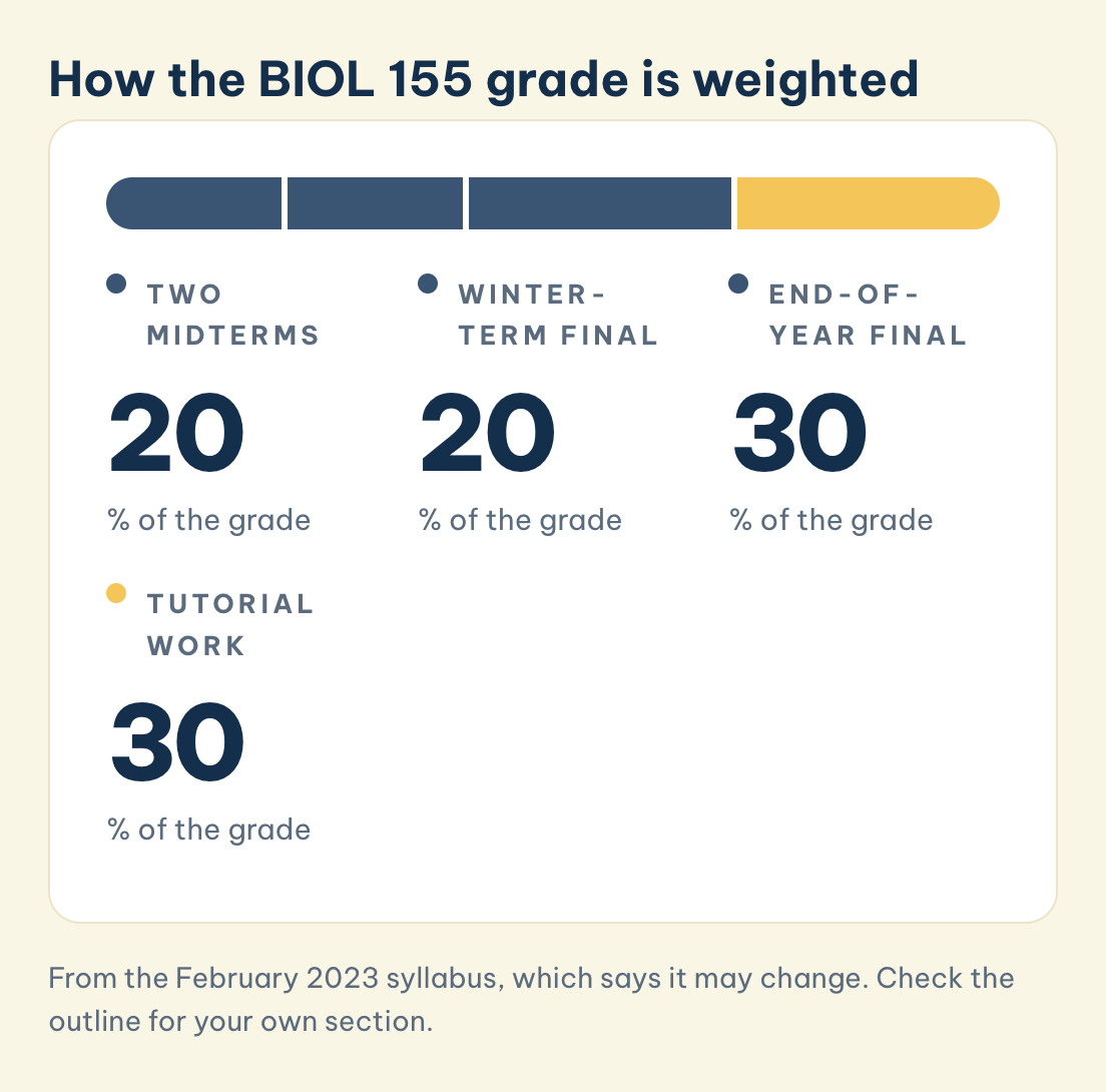 From the February 2023 syllabus, which says it may change. Check the outline for your own section. BIOL 155 grade weights: two midterms 20%, winter-term final 20%, end-of-year final 30%, tutorial work 30%