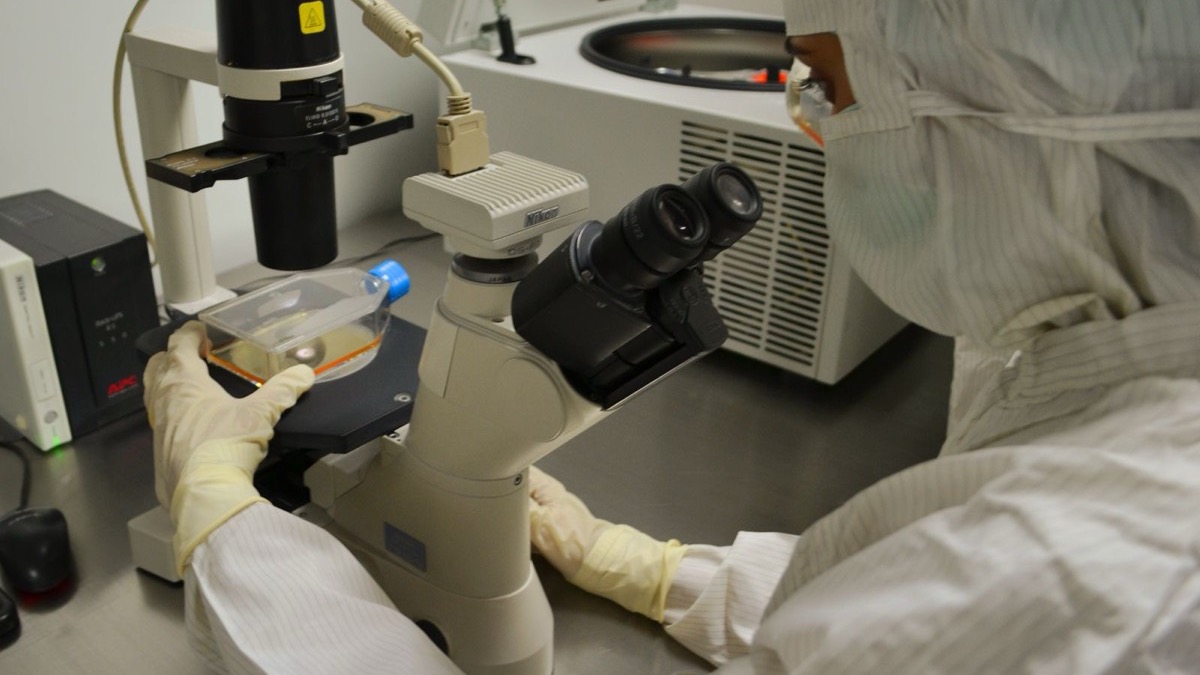 Laboratory equipment used in medical research