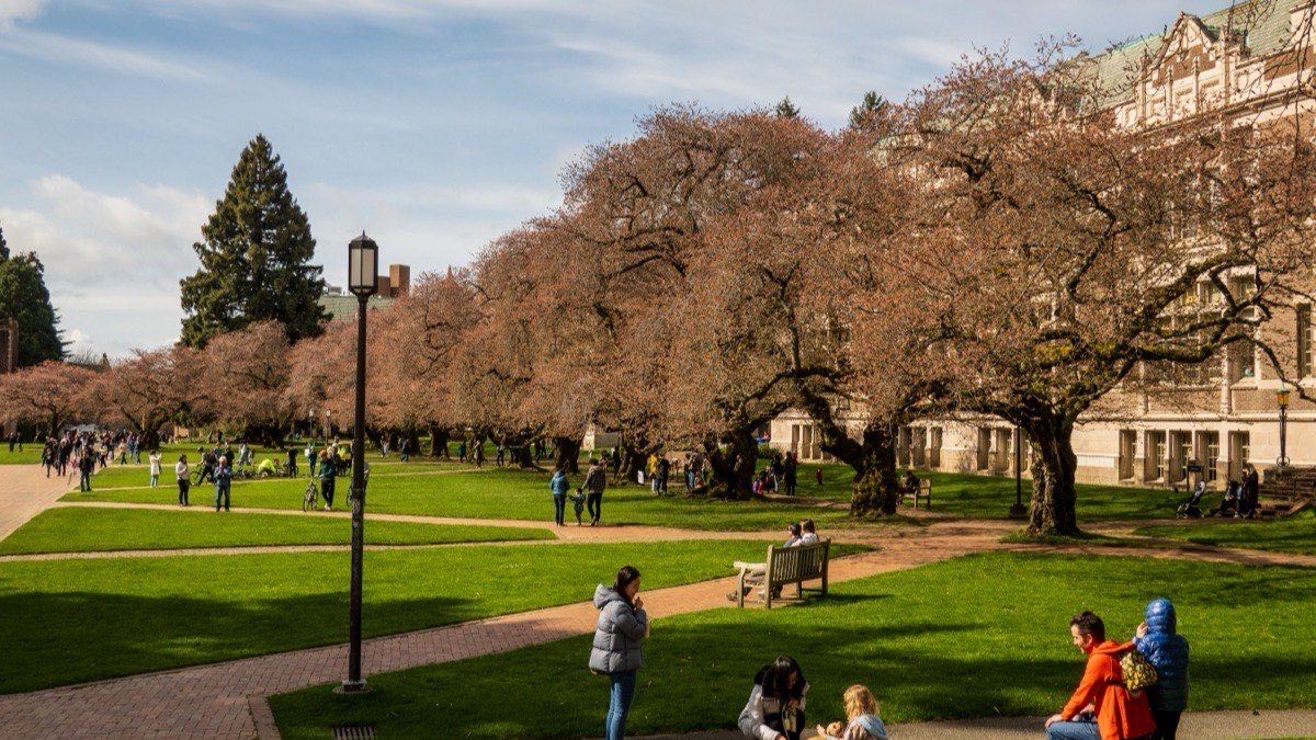 A university campus in spring