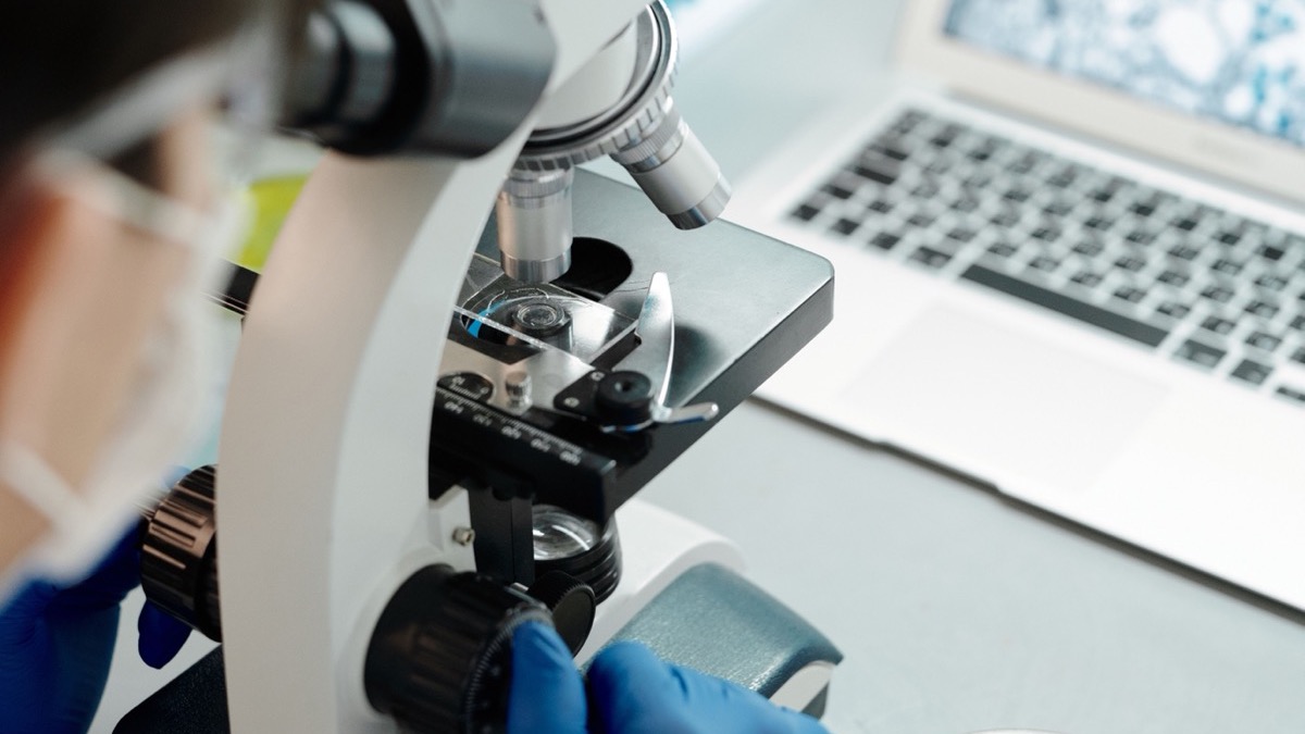 Laboratory work under a microscope