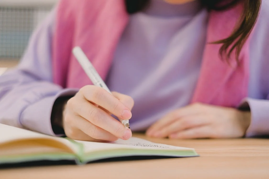 What is a sociology essay?
